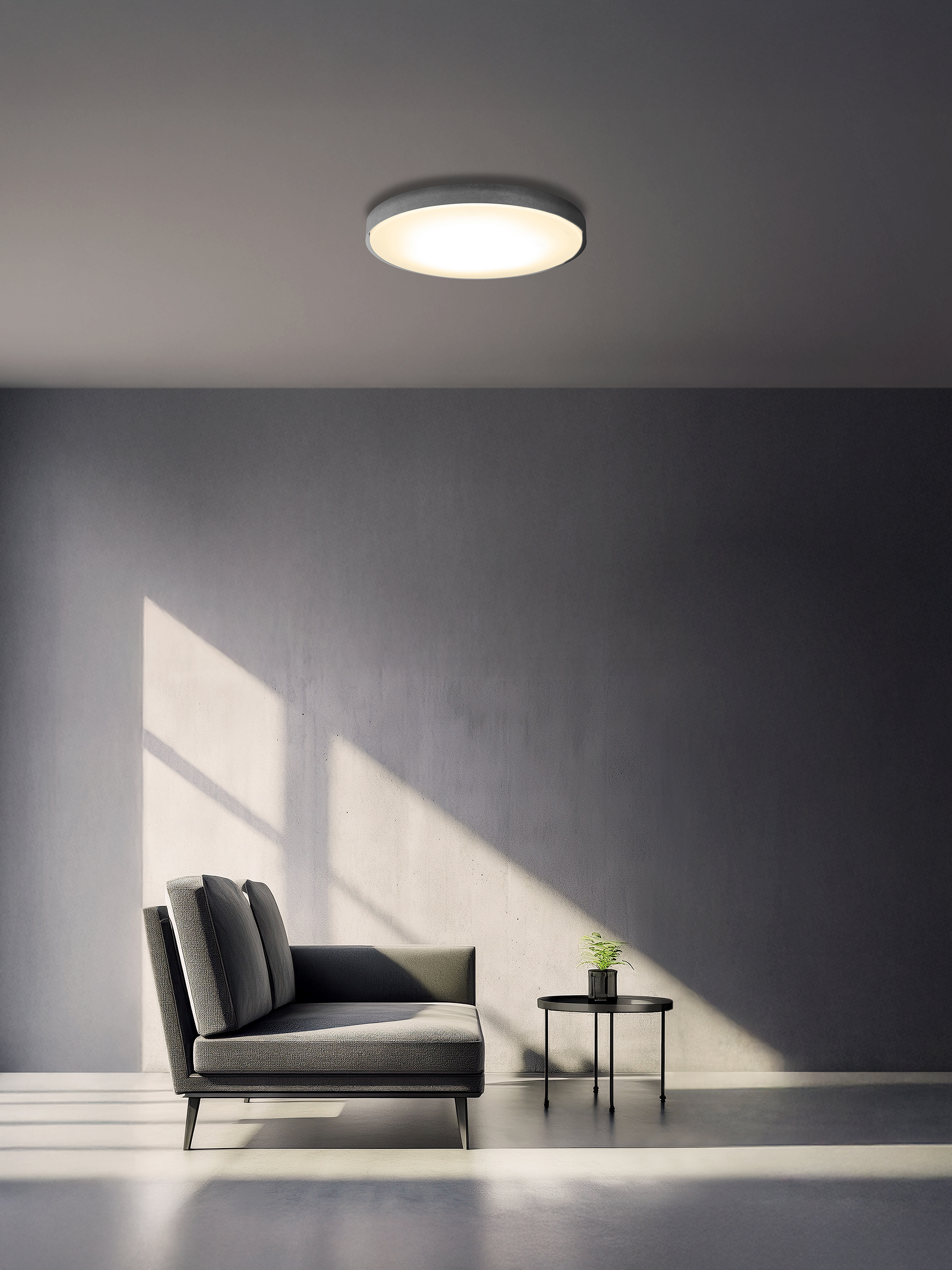 IRISOHYAMA "Room-match Ceiling light Series"