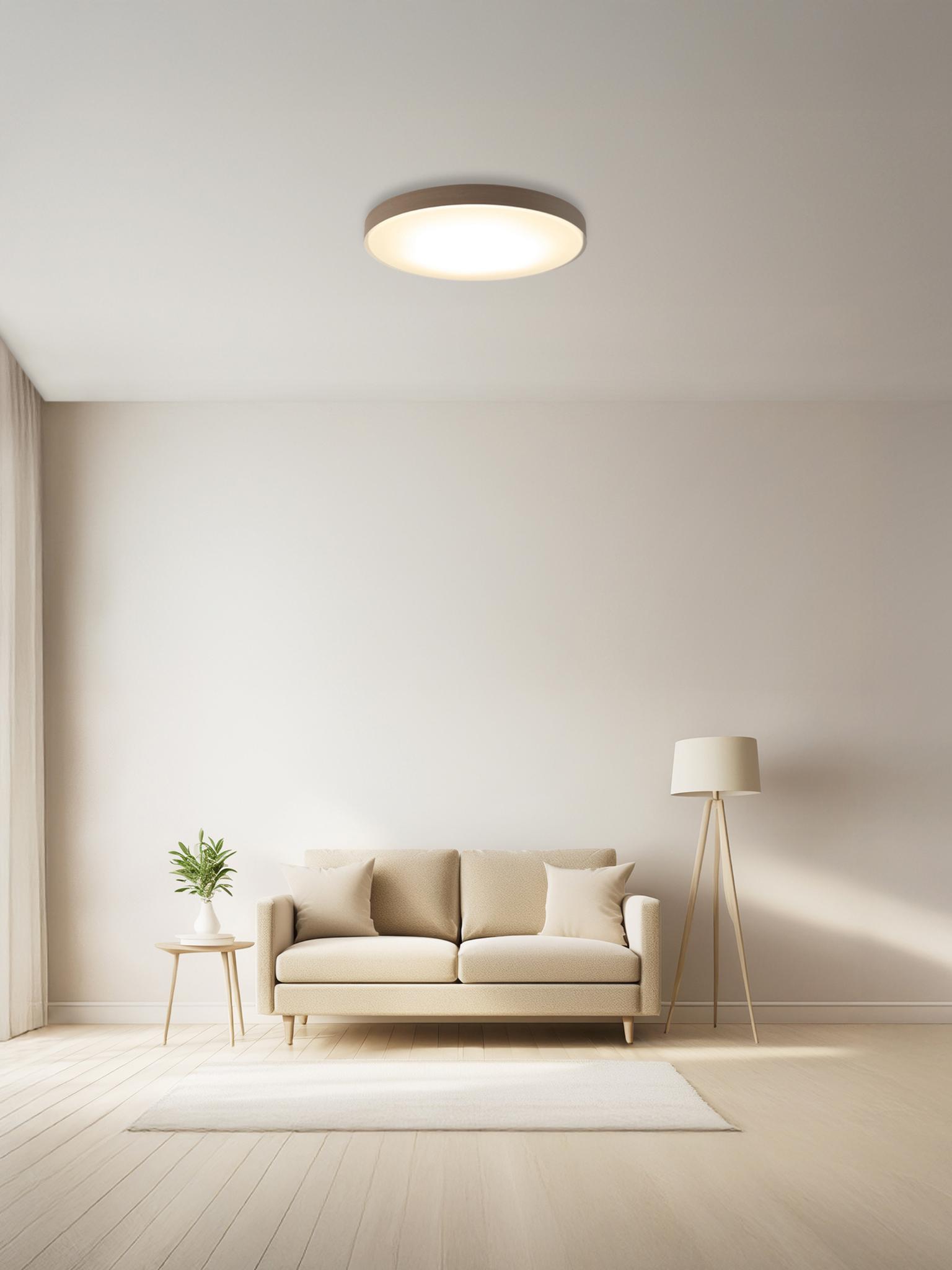 IRISOHYAMA "Room-match Ceiling light Series"