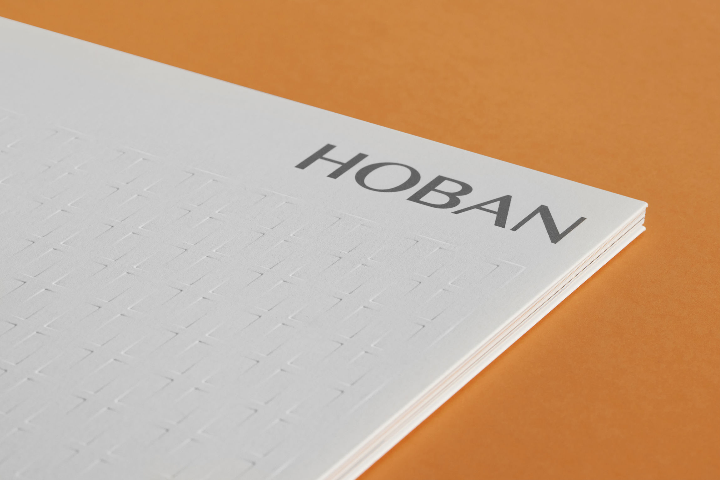 Hoban Group Brochure