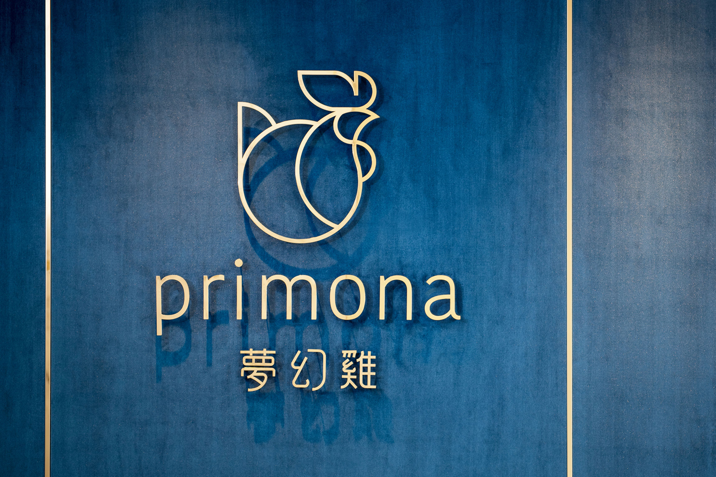 Primona Brand Design