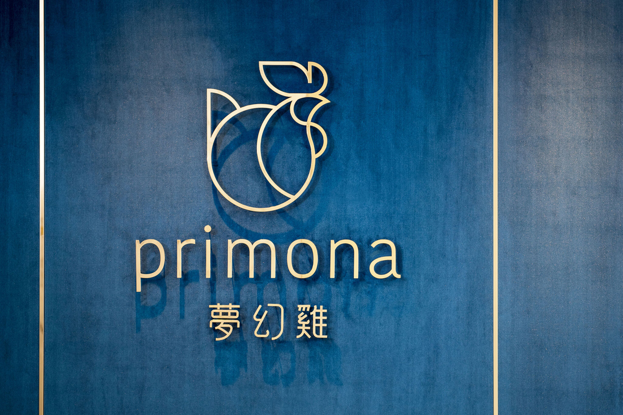 Primona Brand Design