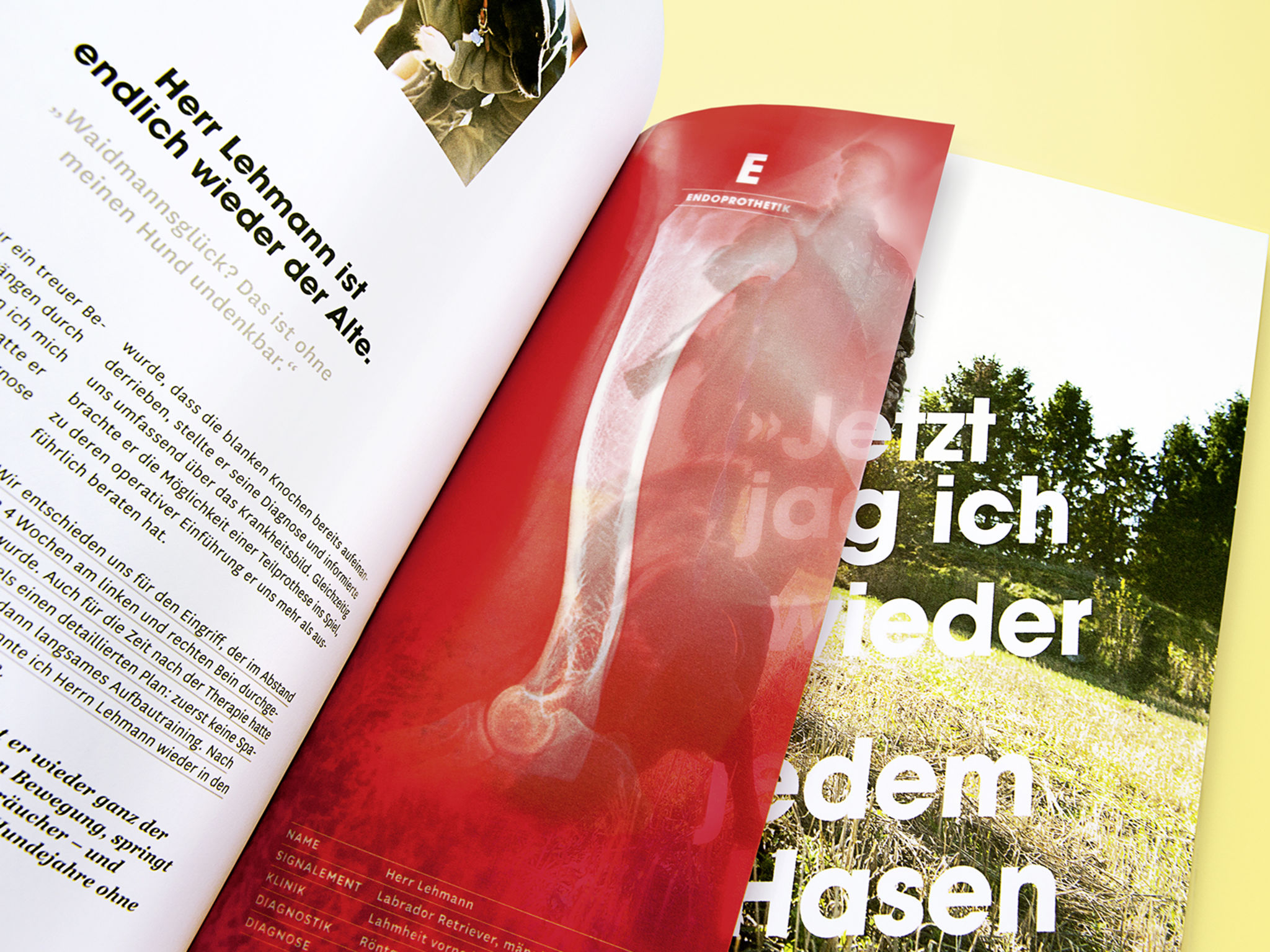VETACARE Philipp Winkels