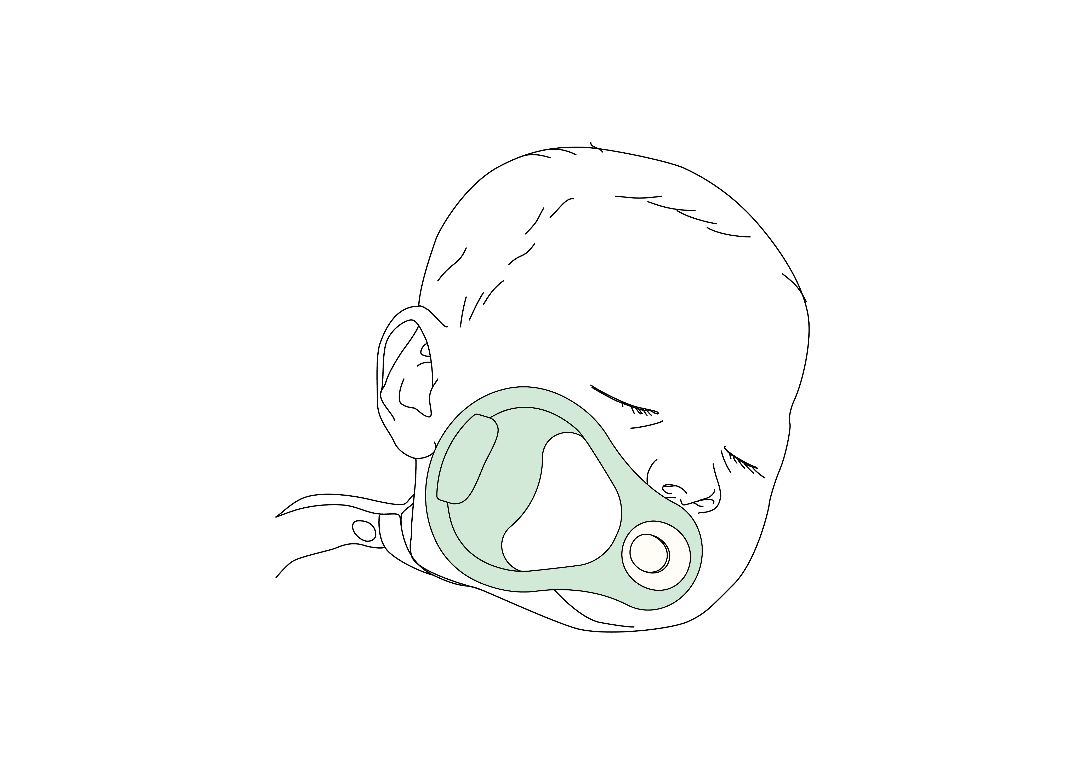 Soother for premature babies  Preemie Care