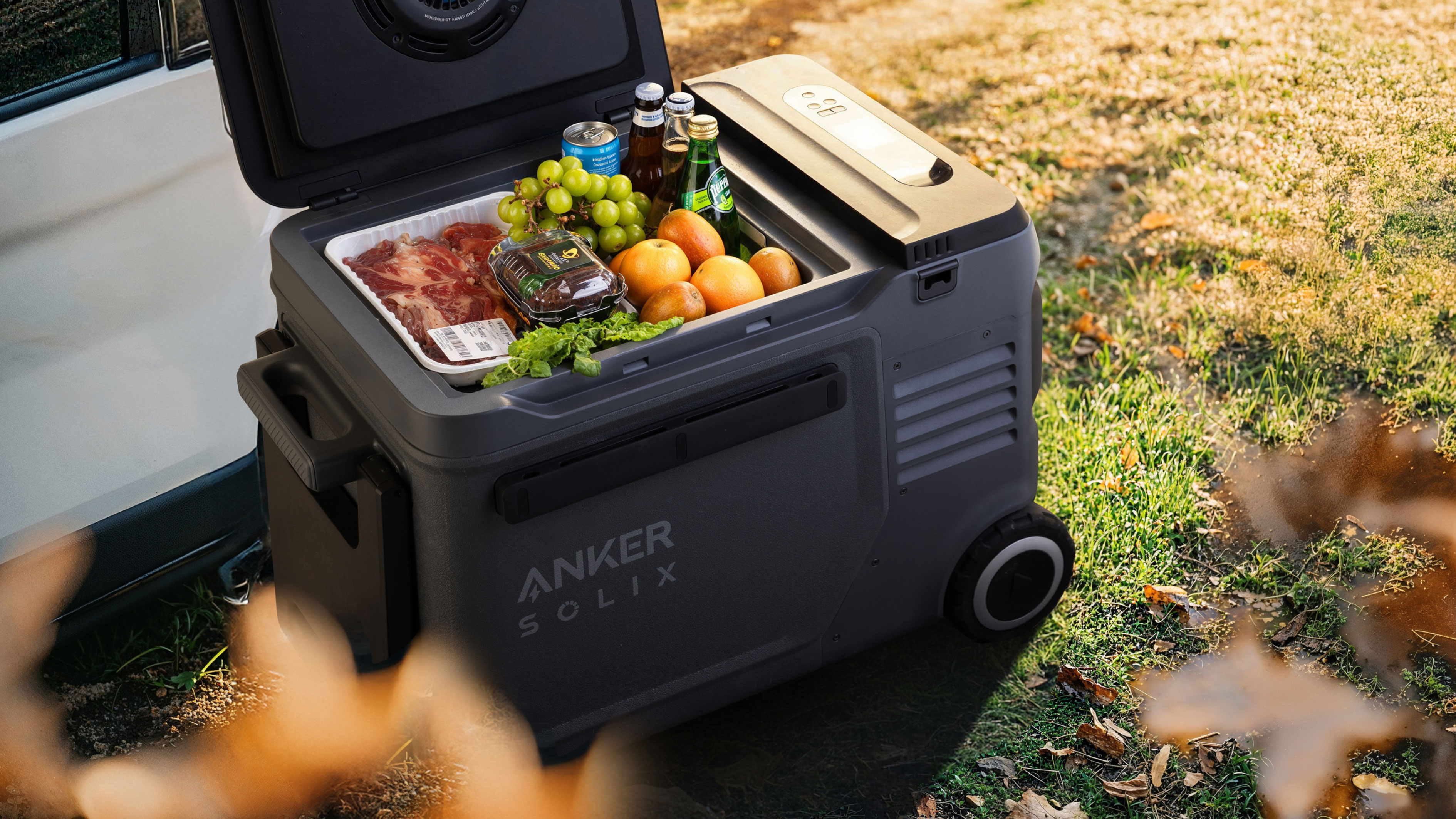 Anker SOLIX Everfrost 2