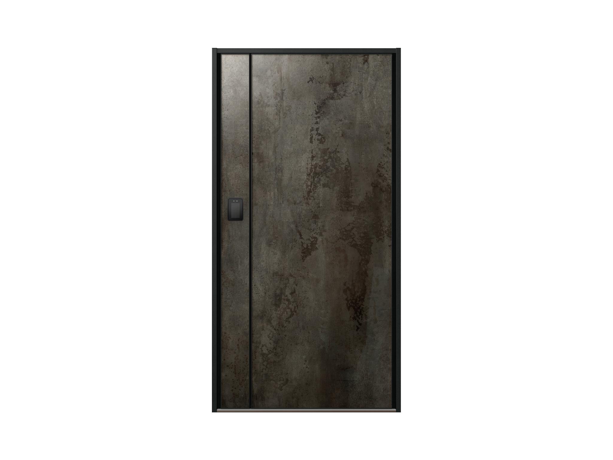 ENTRANCE DOOR XE 25