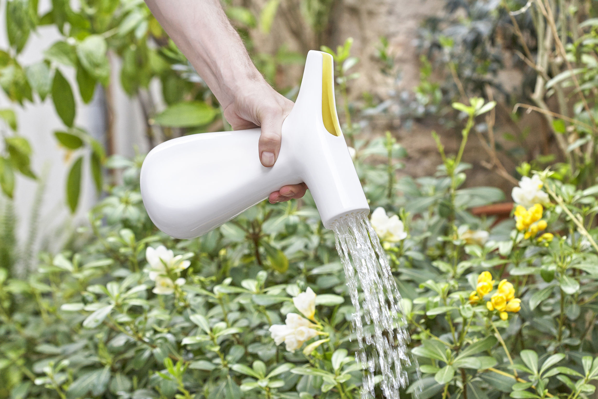 Two Way Watering Pot