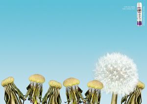 Pusteblumen