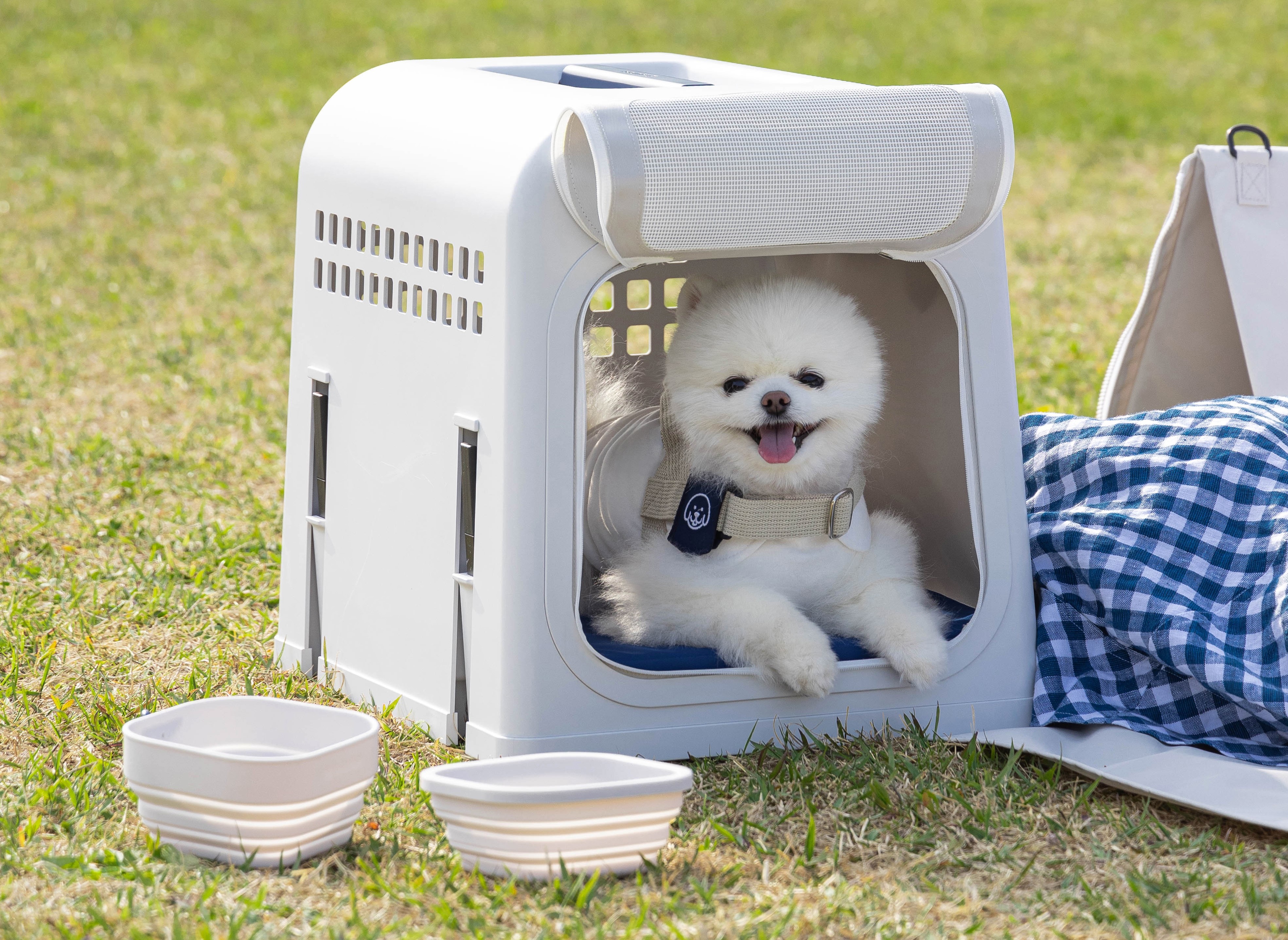 Portable best sale pet house