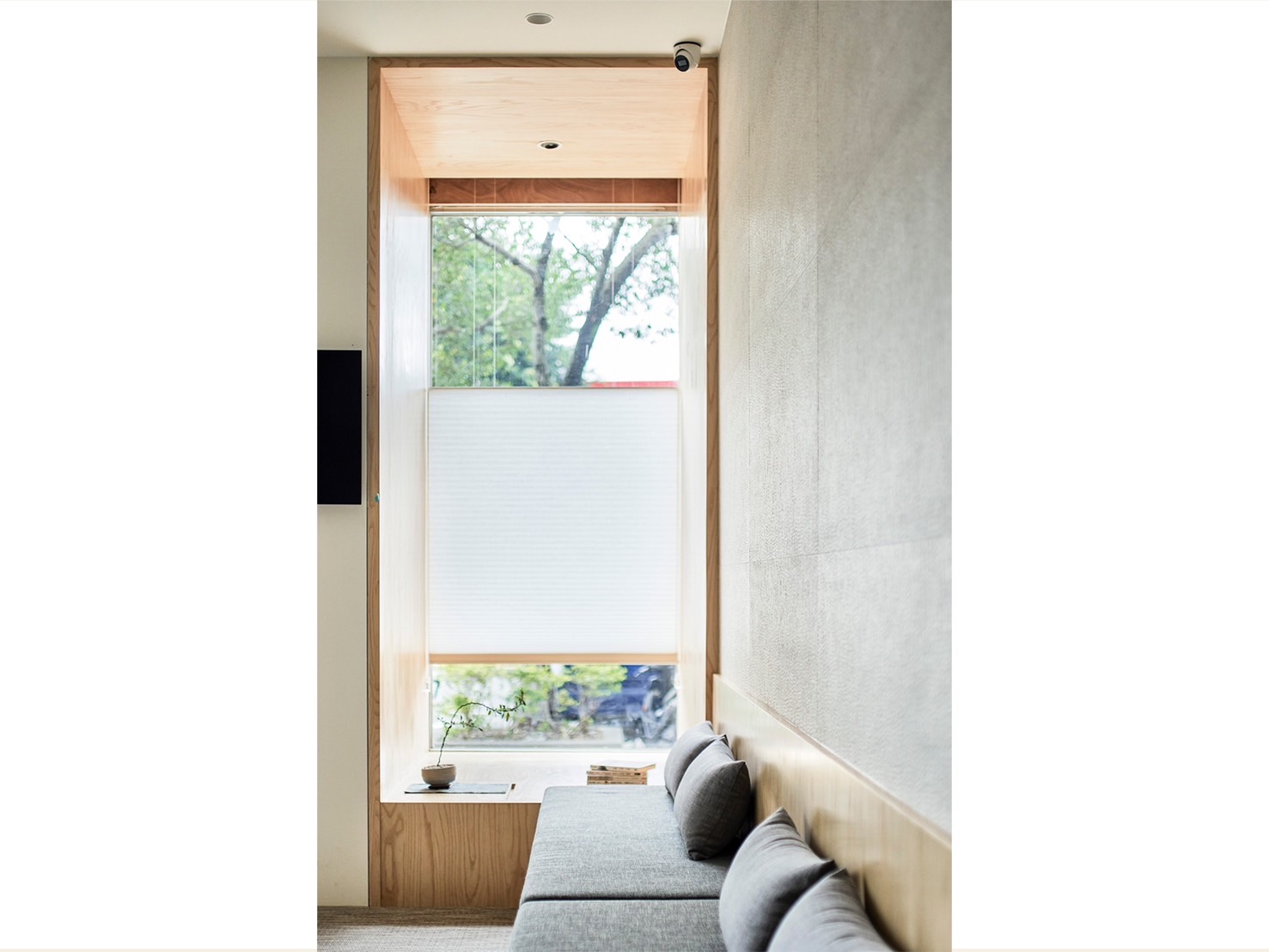 TCM Healing × Modern Spatial Reinvention