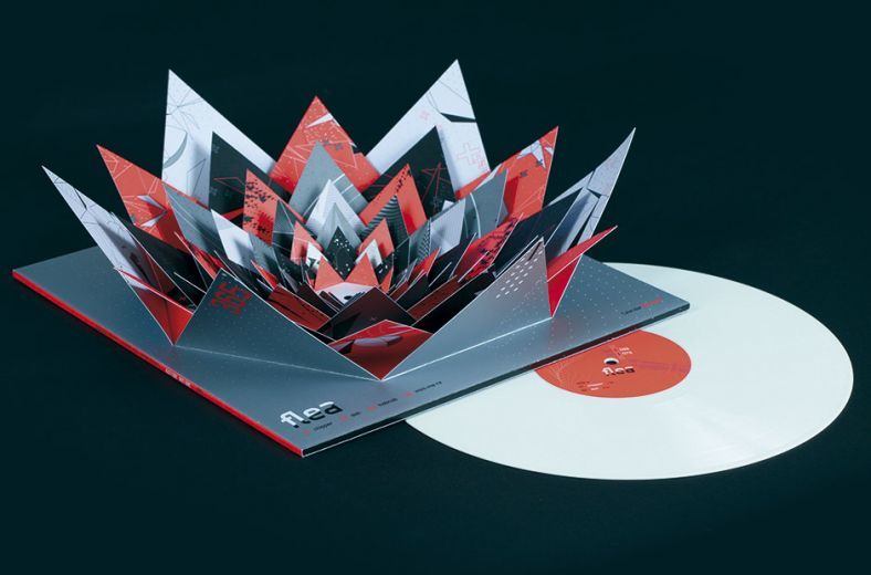 Plattencover DJ Flea