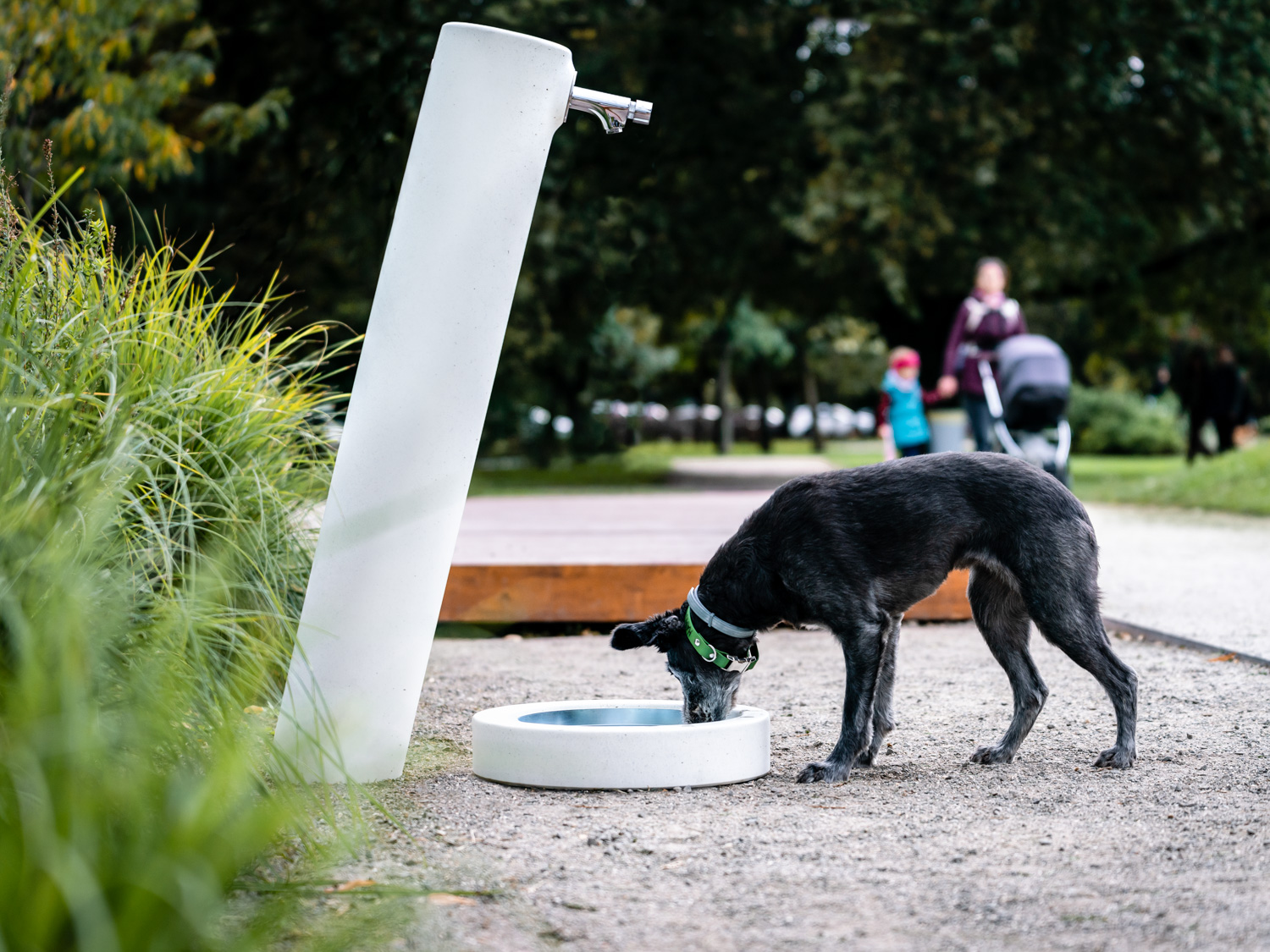 FRED drinking fountain