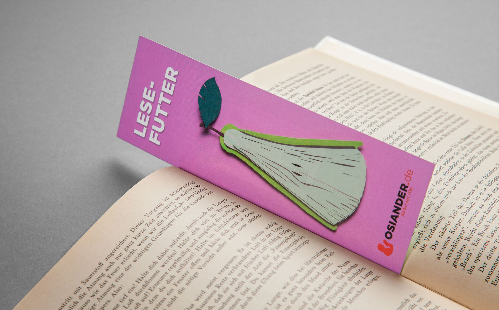 Futter für Geist & Seele