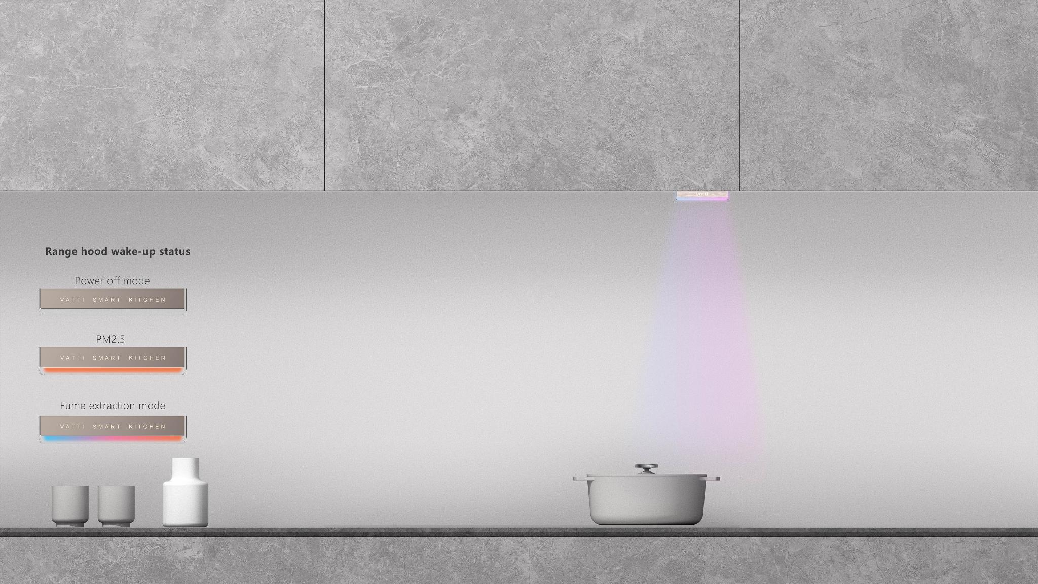 Concealed range hood