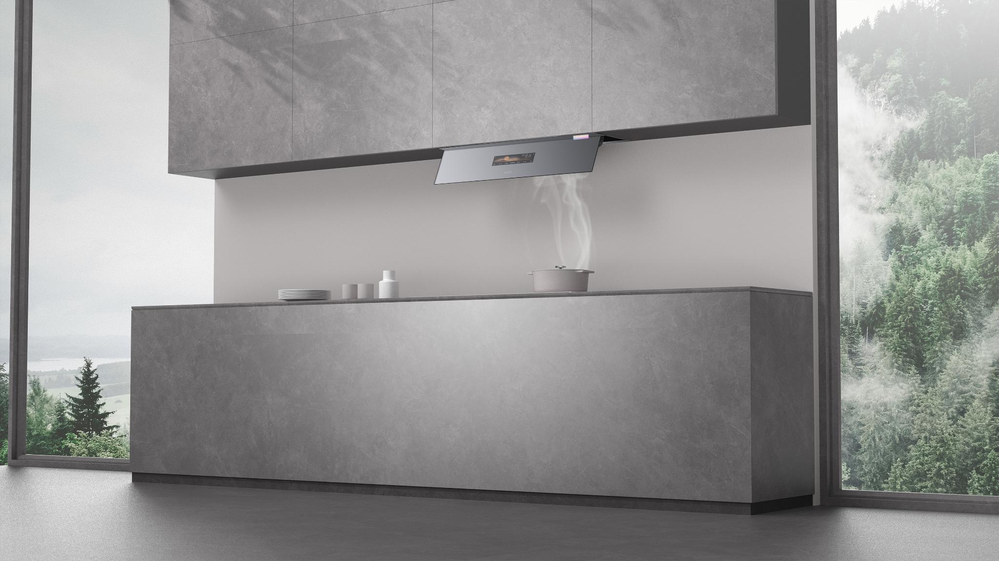 Concealed range hood