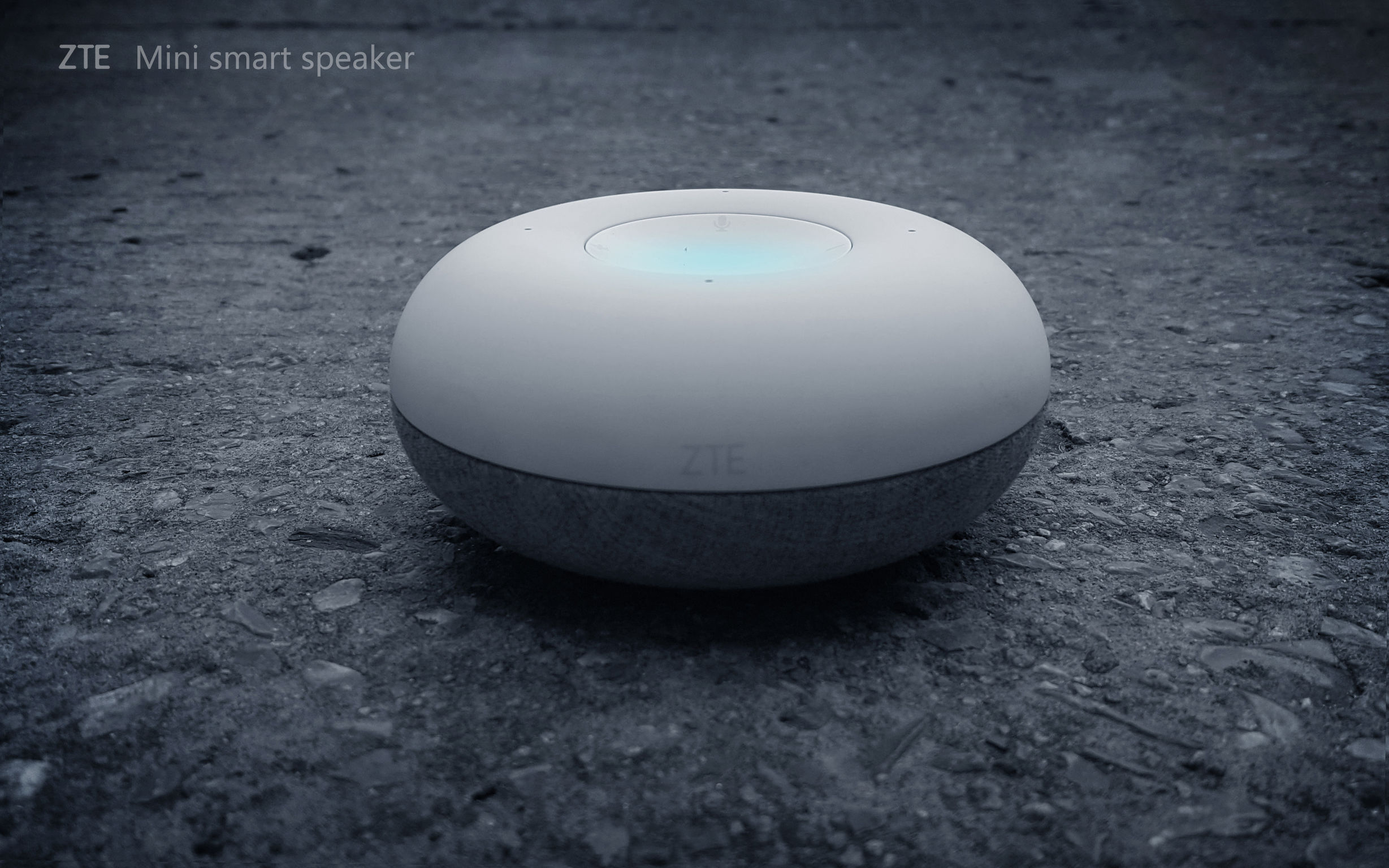 Smart speaker