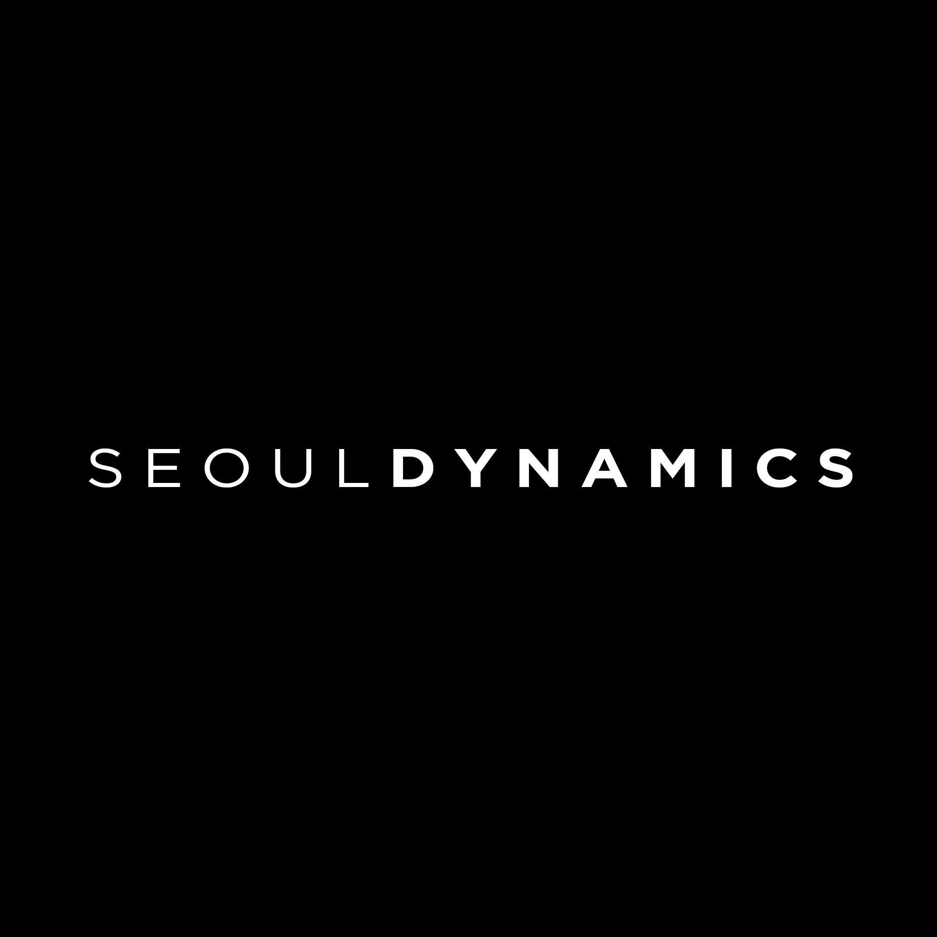 Seoul Dynamics LLC.