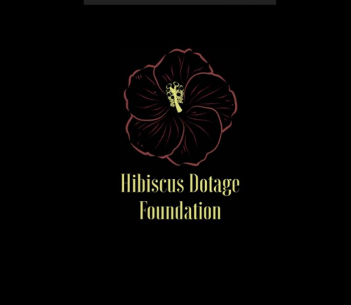 Hibiscus Dotage Foundation