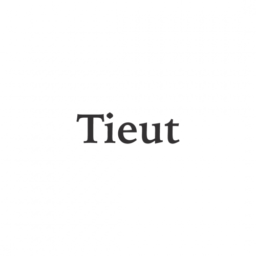 Tieut Inc.