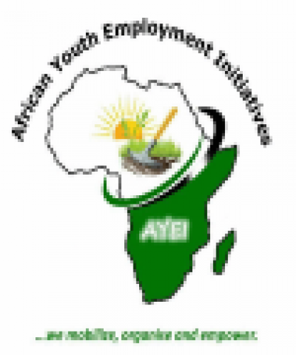 African Youth Employment Initiatives AYEI